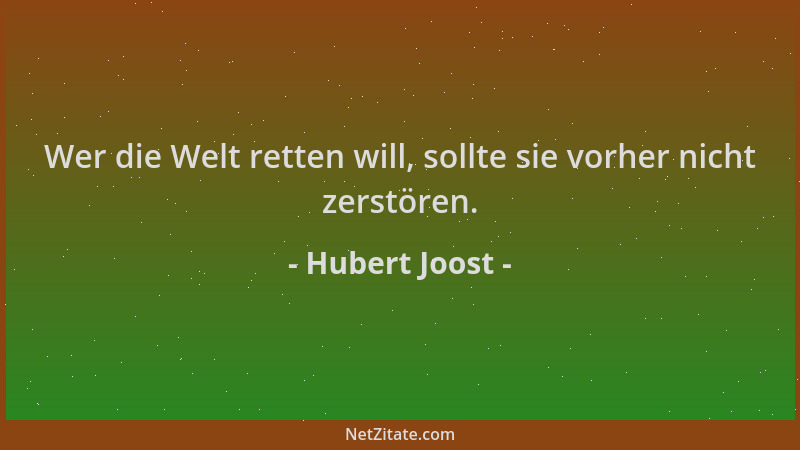 Hubert Joost - Wer die Welt retten will, sollte sie vorher nicht zerstören....
