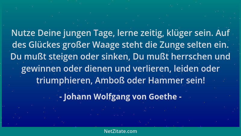 Johann Wolfgang von Goethe - Nutze Deine jungen Tage, lerne zeitig, klüger sein. Auf des Glückes großer Waage steht die Zun...