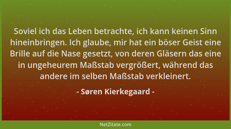 Søren Kierkegaard - Soviel ich das Leben betrachte, ich kann keinen Sinn hineinbringen. Ich glaube, mir hat ein böser Geist...