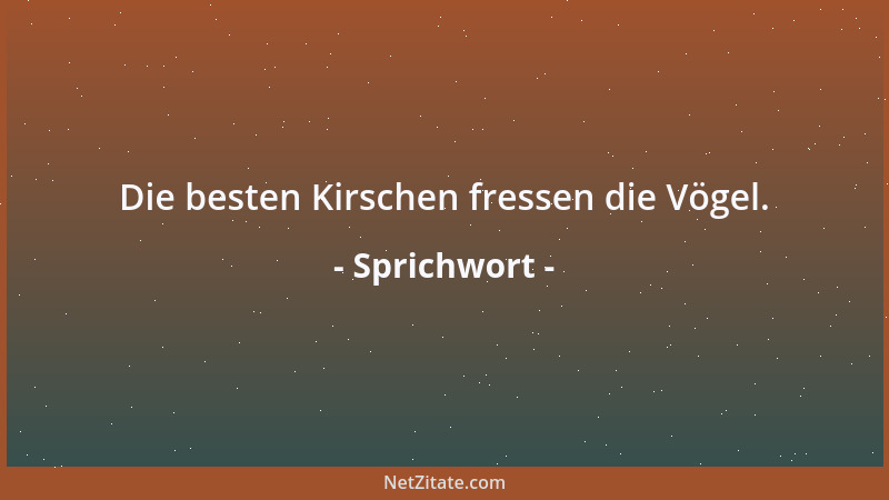 Sprichwort - Die besten Kirschen fressen die Vögel....