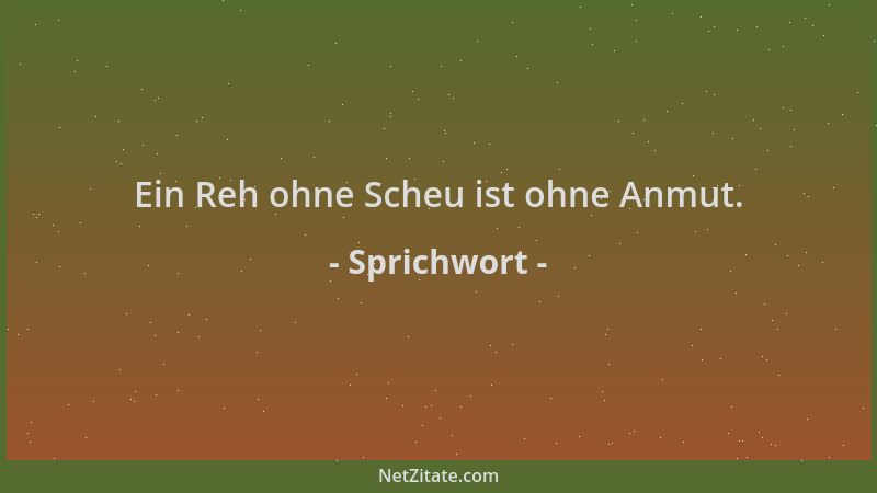 Sprichwort - Ein Reh ohne Scheu ist ohne Anmut....