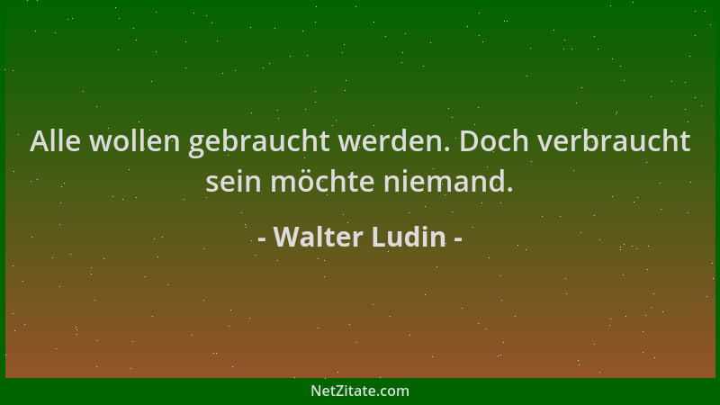 Walter Ludin - Alle wollen gebraucht werden. Doch verbraucht sein möchte niemand....