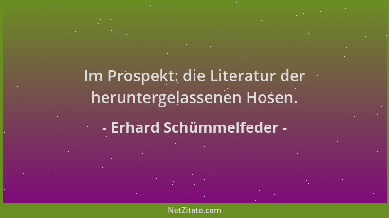 Erhard Schümmelfeder - Im Prospekt: die Literatur der heruntergelassenen Hosen....