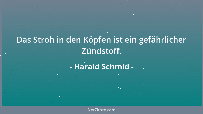 Harald Schmid - Das Stroh in den Köpfen ist ein gefährlicher Zündstoff....