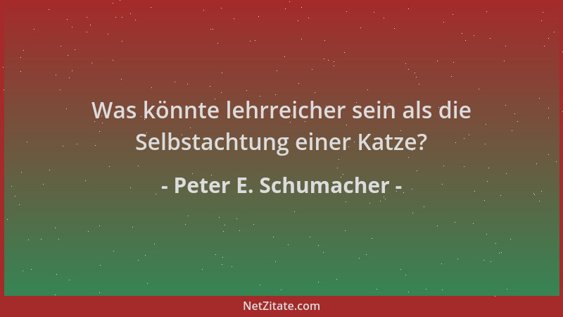 Peter E. Schumacher - Was könnte lehrreicher sein als die Selbstachtung einer Katze?...
