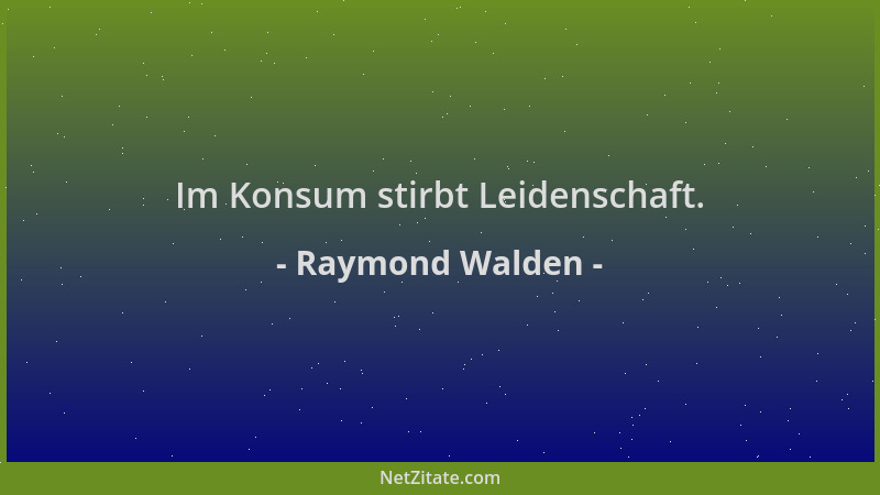 Raymond Walden - Im Konsum stirbt Leidenschaft....
