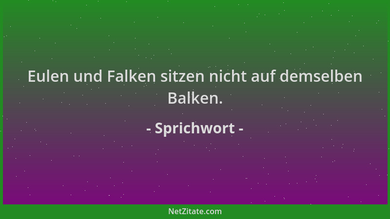 Sprichwort - Eulen und Falken sitzen nicht auf demselben Balken....
