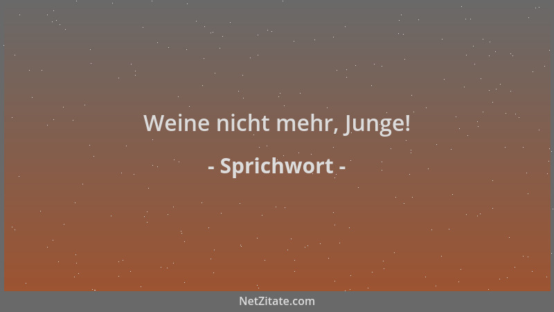 Sprichwort - Weine nicht mehr, Junge!...