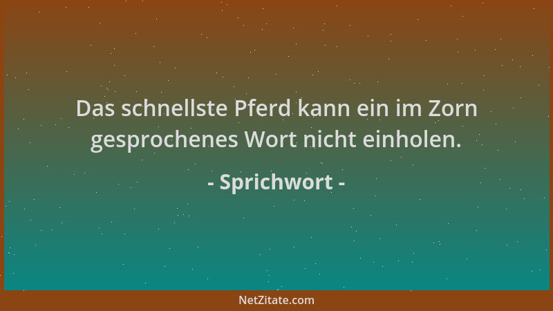 Sprichwort - Das schnellste Pferd kann ein im Zorn gesprochenes Wort nicht einholen....
