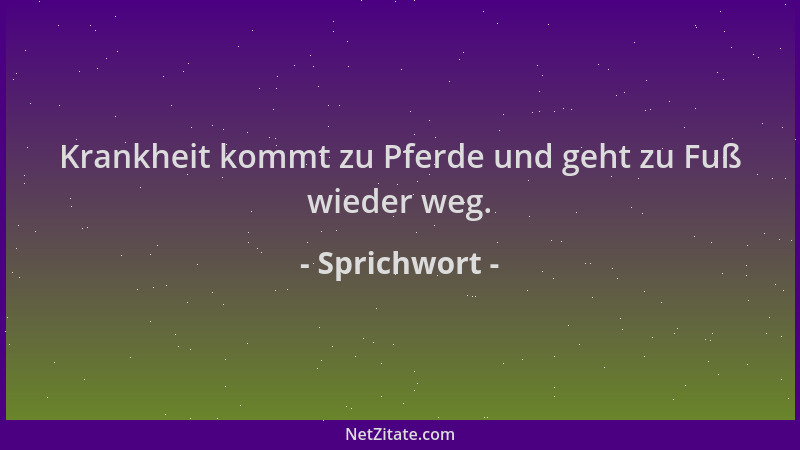 Sprichwort - Krankheit kommt zu Pferde und geht zu Fuß wieder weg....
