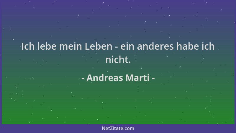 Andreas Marti - Ich lebe mein Leben - ein anderes habe ich nicht....