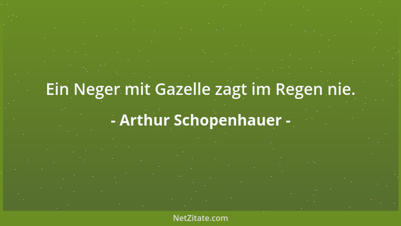 Arthur Schopenhauer - Und was die Weiber betrifft, so war ich diesen sehr gewogen - hätten sie mich nur haben wollen....