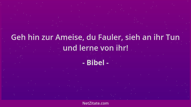 Bibel - Geh hin zur Ameise, du Fauler, sieh an ihr Tun und lerne von ihr!...