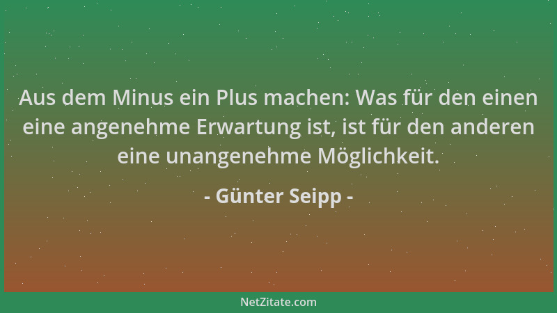 Günter Seipp - Aus dem Minus ein Plus machen: Was für den einen eine angenehme Erwartung ist, ist für den anderen eine unan...