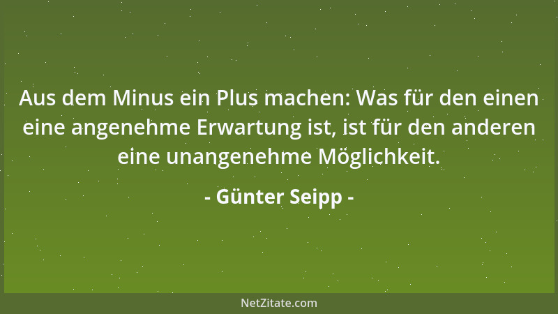 Günter Seipp - Aus dem Minus ein Plus machen: Was für den einen eine angenehme Erwartung ist, ist für den anderen eine unan...