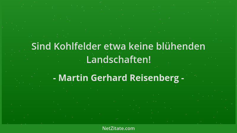 Martin Gerhard Reisenberg - Sind Kohlfelder etwa keine blühenden Landschaften!...