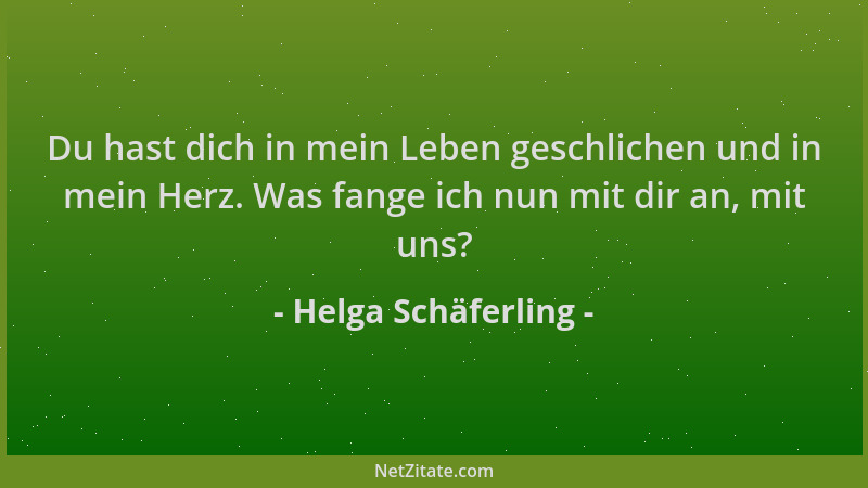 Helga Schäferling - Du hast dich in mein Leben geschlichen und in mein Herz. Was fange ich nun mit dir an, mit uns?...