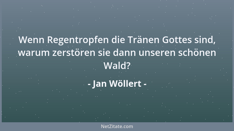 Jan Wöllert - Wenn Regentropfen die Tränen Gottes sind, warum zerstören sie dann unseren schönen Wald?...