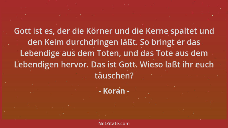 Koran - Gott ist es, der die Körner und die Kerne spaltet und den Keim durchdringen läßt. So bringt er das Lebendige aus de...