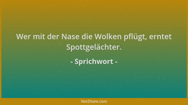 Sprichwort - Wer mit der Nase die Wolken pflügt, erntet Spottgelächter....