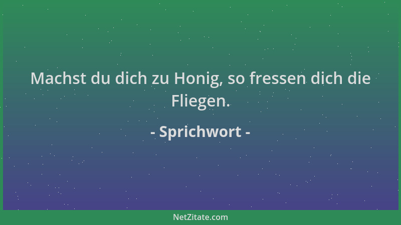 Sprichwort - Machst du dich zu Honig, so fressen dich die Fliegen....