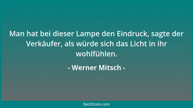 Werner Mitsch - Man hat bei dieser Lampe den Eindruck, sagte der Verkäufer, als würde sich das Licht in ihr wohlfühlen....
