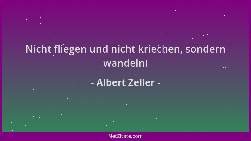 Albert Zeller - Nicht fliegen und nicht kriechen, sondern wandeln!...