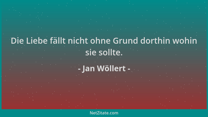 Jan Wöllert - Die Liebe fällt nicht ohne Grund dorthin wohin sie sollte....