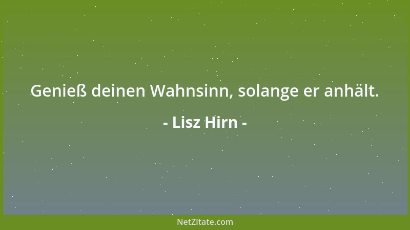Lisz Hirn - Genieß deinen Wahnsinn, solange er anhält....