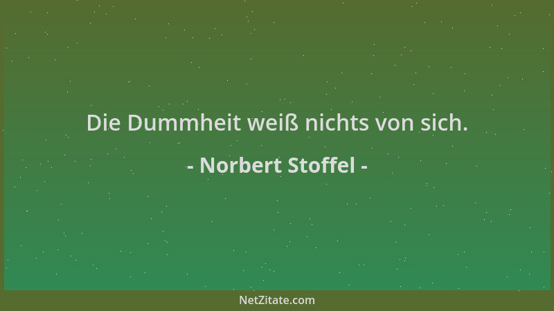 Norbert Stoffel - Die Dummheit weiß nichts von sich....