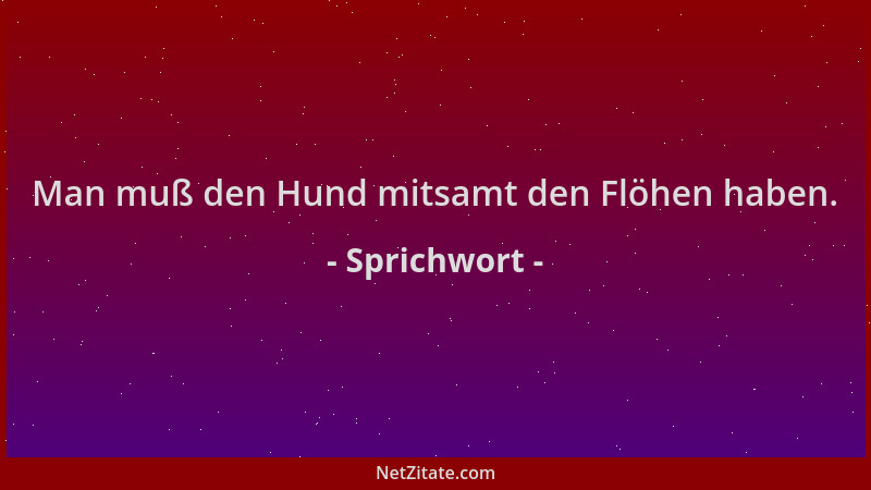 Sprichwort - Man muß den Hund mitsamt den Flöhen haben....