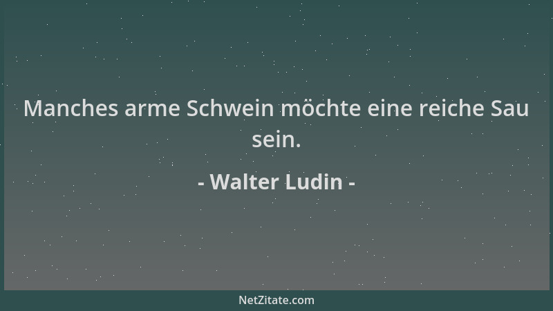 Walter Ludin - Manches arme Schwein möchte eine reiche Sau sein....