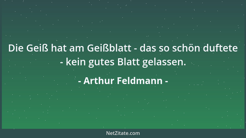 Arthur Feldmann - Die Geiß hat am Geißblatt - das so schön duftete - kein gutes Blatt gelassen....
