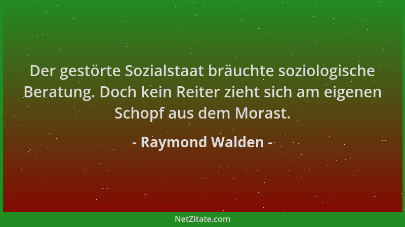 Raymond Walden - Der gestörte Sozialstaat bräuchte soziologische Beratung. Doch kein Reiter zieht sich am eigenen Schopf au...