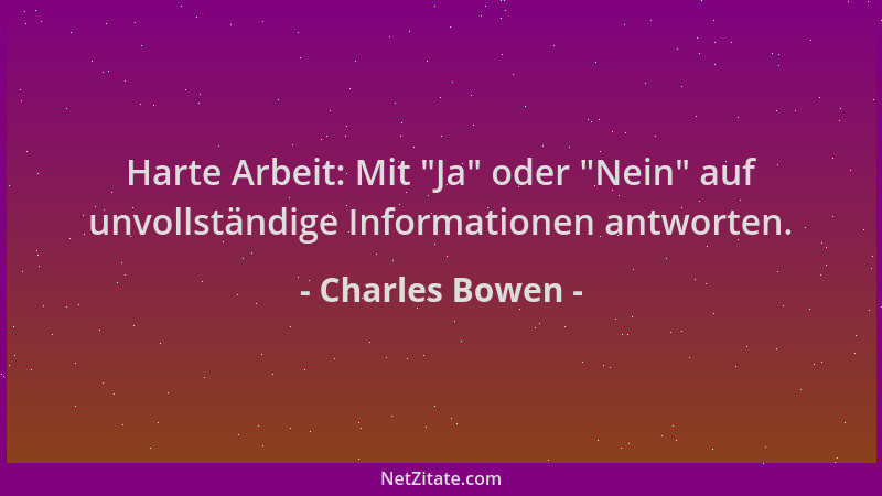 Charles Bowen - Harte Arbeit: Mit  "Ja " oder  "Nein " auf unvollständige Informationen antworten....