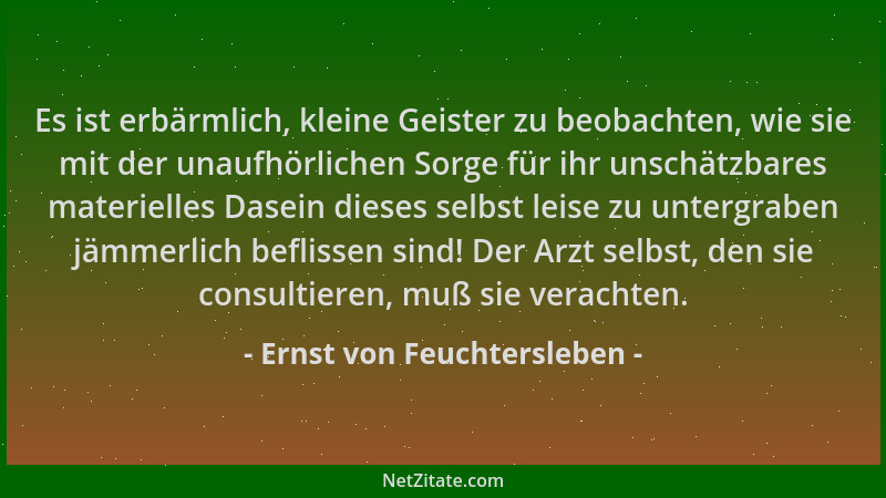 Ernst von Feuchtersleben - Es ist erbärmlich, kleine Geister zu beobachten, wie sie mit der unaufhörlichen Sorge für ihr un...