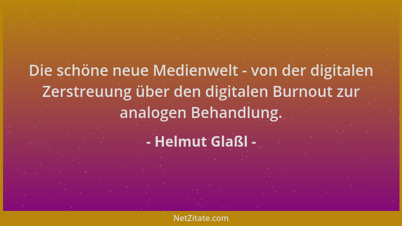Helmut Glaßl - Die schöne neue Medienwelt - von der digitalen Zerstreuung über den digitalen Burnout zur analogen Behandlun...