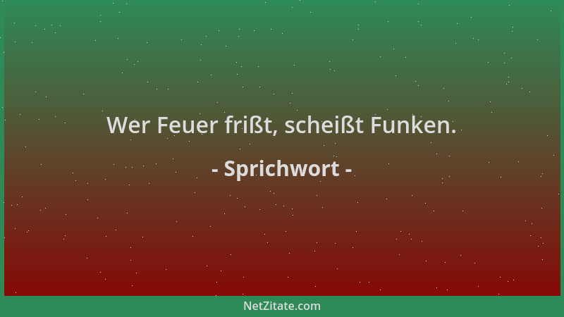 Sprichwort - Wer Feuer frißt, scheißt Funken....