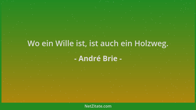 André Brie - Wo ein Wille ist, ist auch ein Holzweg....