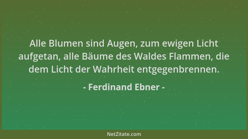 Ferdinand Ebner - Alle Blumen sind Augen, zum ewigen Licht aufgetan, alle Bäume des Waldes Flammen, die dem Licht der Wahrh...
