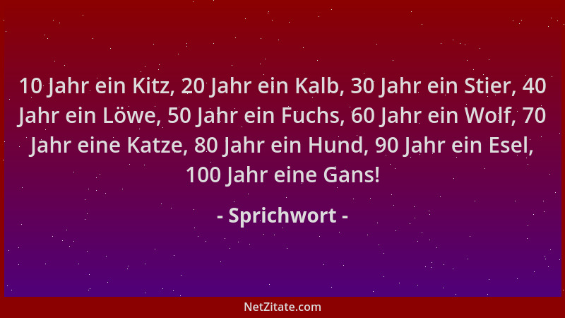 Sprichwort - 10 Jahr ein Kitz, 20 Jahr ein Kalb, 30 Jahr ein Stier, 40 Jahr ein Löwe, 50 Jahr ein Fuchs, 60 Jahr ein Wolf,...