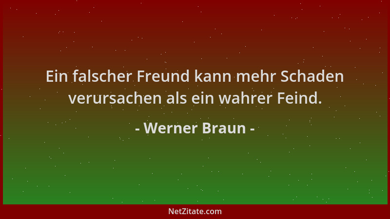 Werner Braun - Ein falscher Freund kann mehr Schaden verursachen als ein wahrer Feind....