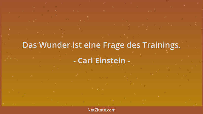 Carl Einstein - Das Wunder ist eine Frage des Trainings....