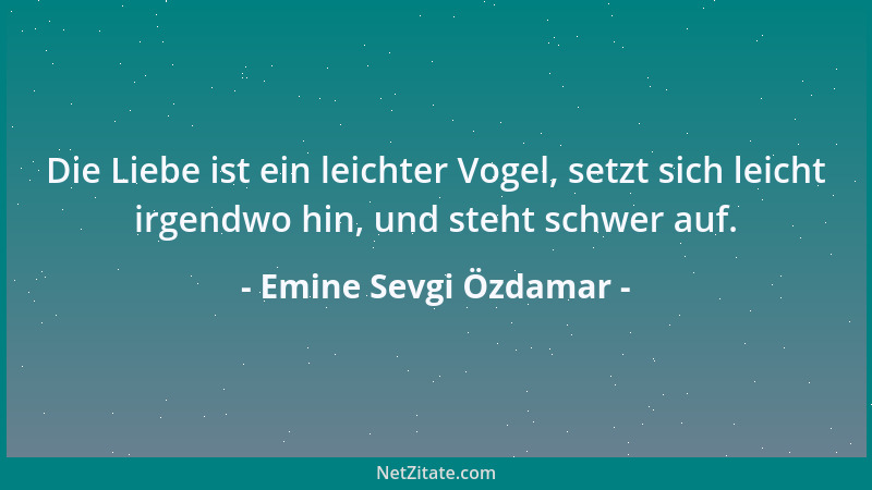 Emine Sevgi Özdamar - Die Liebe ist ein leichter Vogel, setzt sich leicht irgendwo hin, und steht schwer auf....