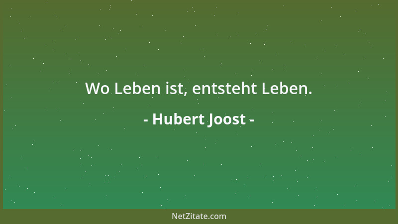 Hubert Joost - Wo Leben ist, entsteht Leben....