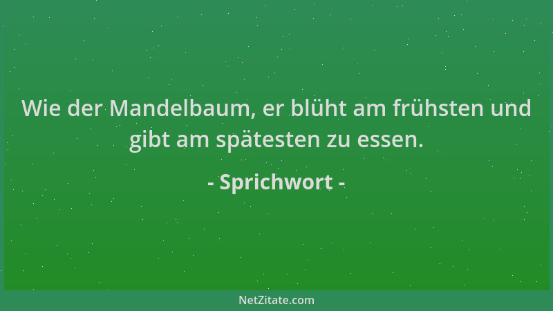 Sprichwort - Wie der Mandelbaum, er blüht am frühsten und gibt am spätesten zu essen....