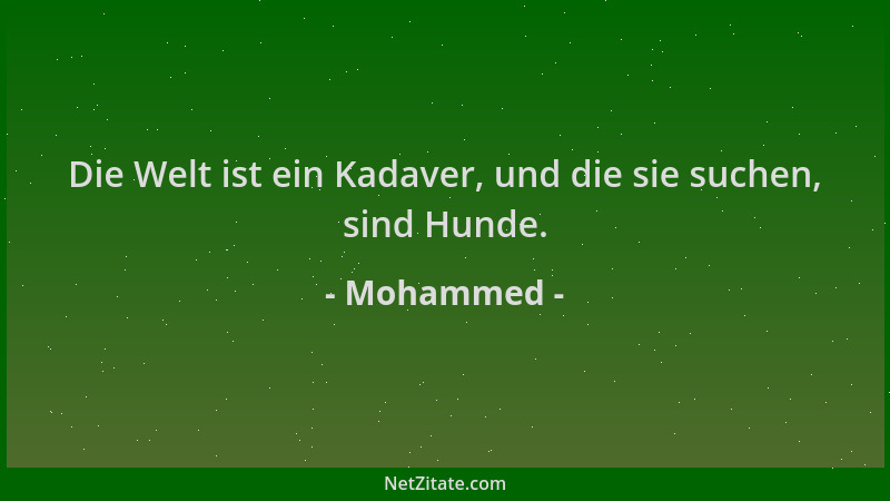 Mohammed - Die Welt ist ein Kadaver, und die sie suchen, sind Hunde....