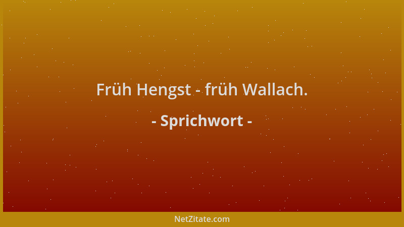 Sprichwort - Früh Hengst - früh Wallach....