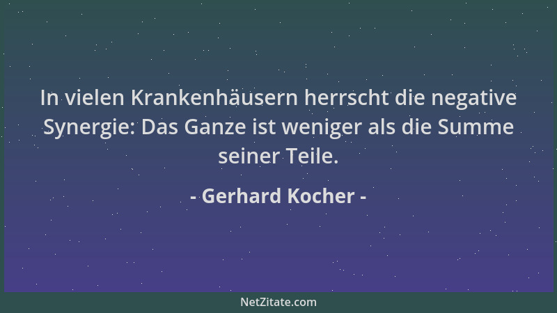 Gerhard Kocher - In vielen Krankenhäusern herrscht die negative Synergie: Das Ganze ist weniger als die Summe seiner Teile....