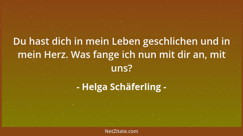 Helga Schäferling - Du hast dich in mein Leben geschlichen und in mein Herz. Was fange ich nun mit dir an, mit uns?...